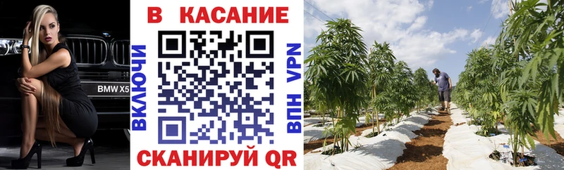 Магазин наркотиков Ярцево omg маркетплейс  Cocaine  Alpha-PVP  Псилоцибиновые грибы  МЕФ  ГАШИШ 