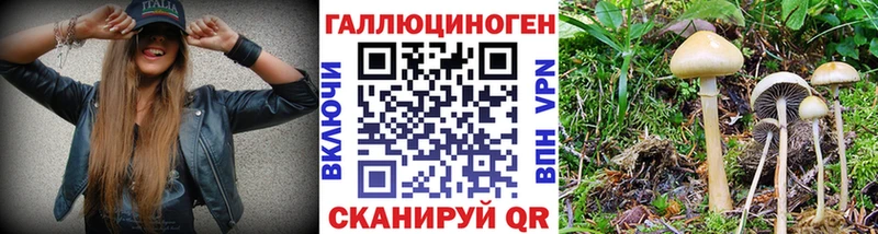 MEGA онион  Ярцево  Псилоцибиновые грибы прущие грибы 