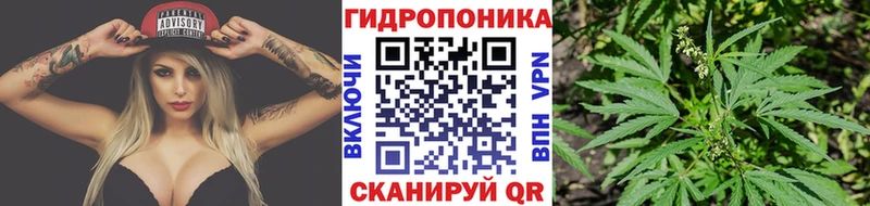 где найти наркотики  Ярцево  МАРИХУАНА VHQ 
